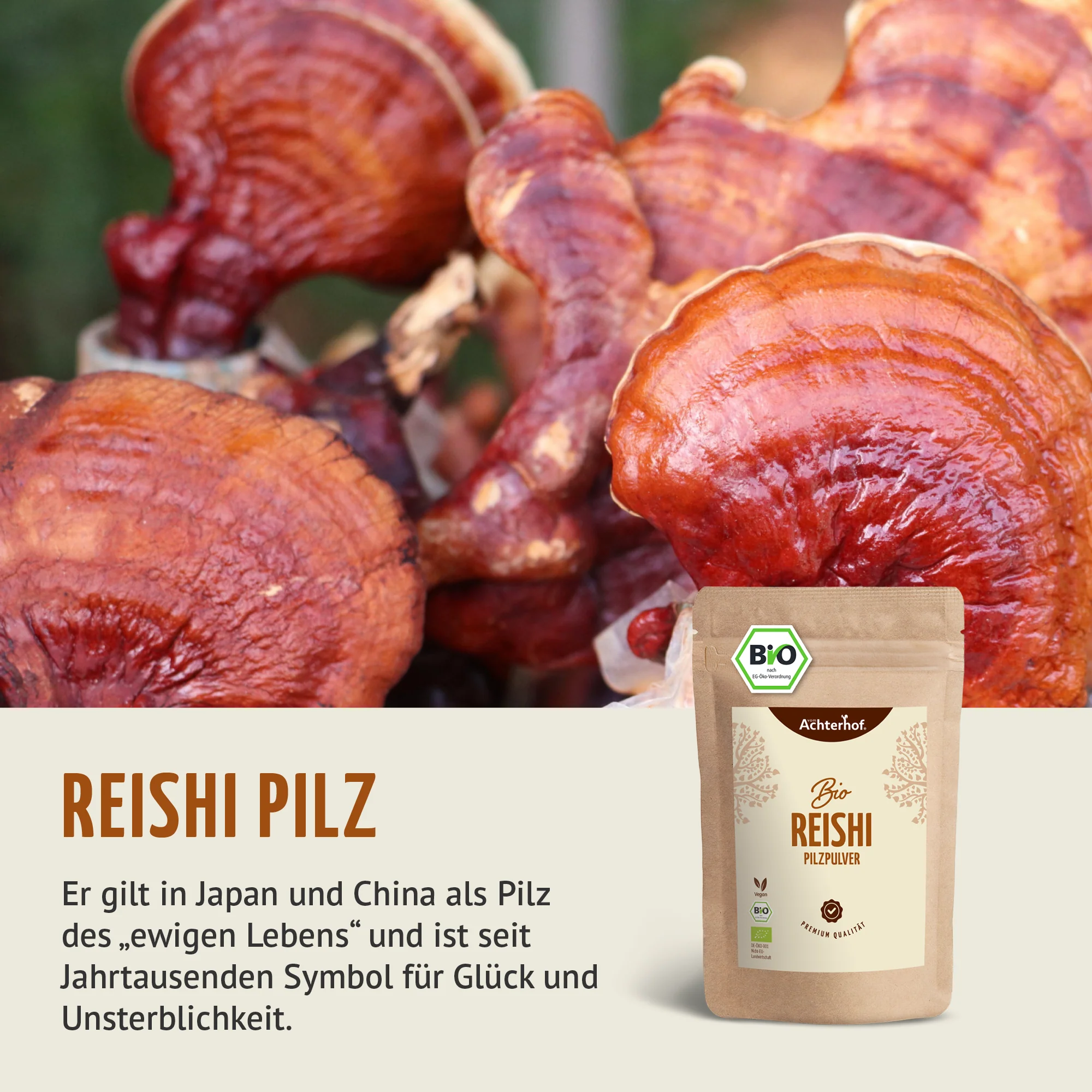 Bio Reishi Pilzpulver (250g) - Image 4