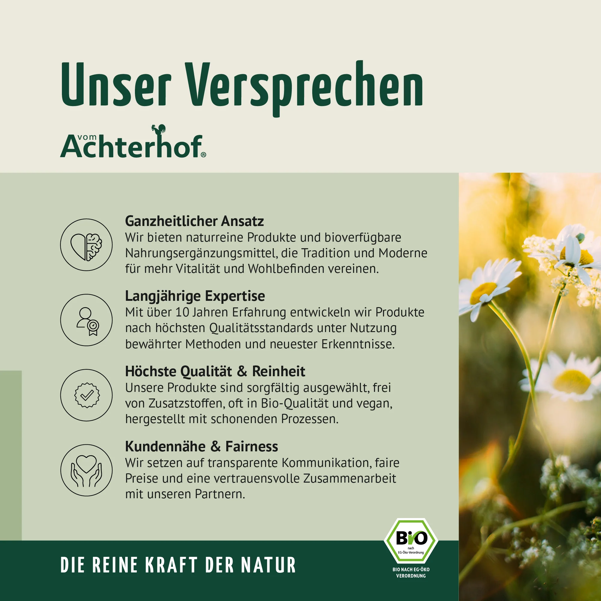Bio Gerstengras Pulver (1000g) - Image 12