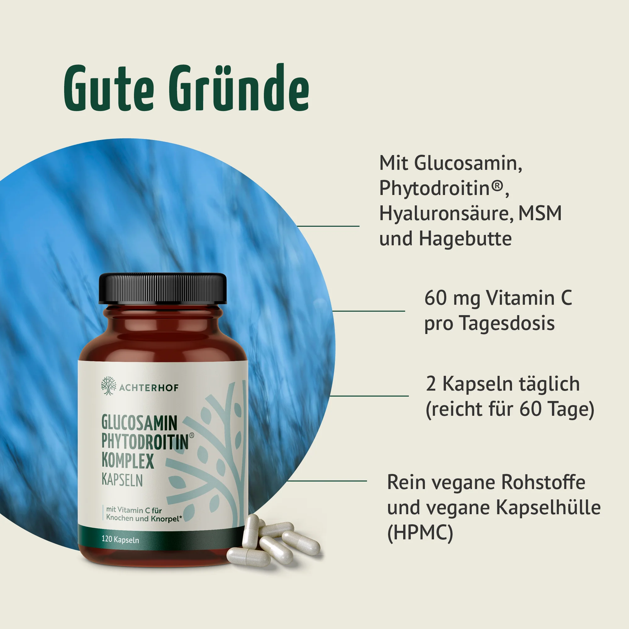 Glucosamin Phytodroitin® Komplex Kapseln (120 Kapseln) - Image 2
