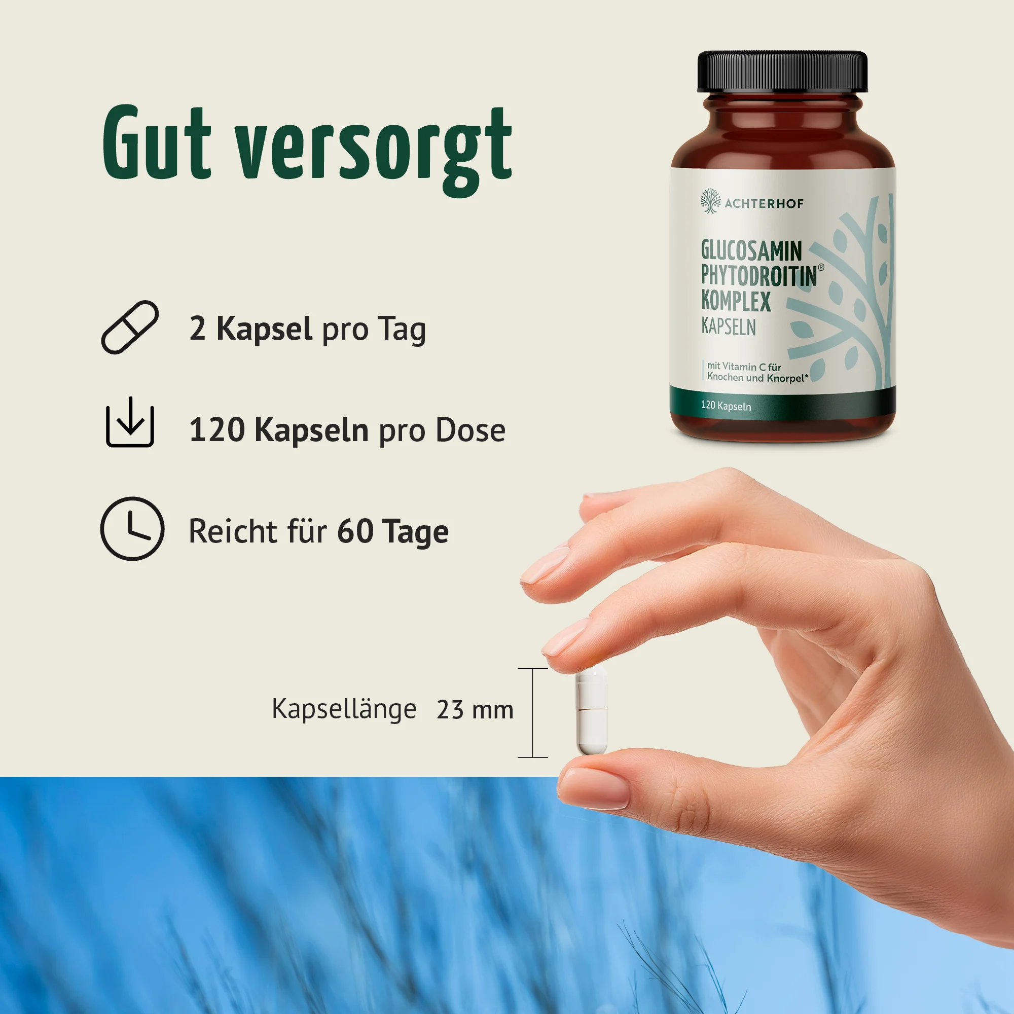 Glucosamin Phytodroitin® Komplex Kapseln (120 Kapseln) - Image 4