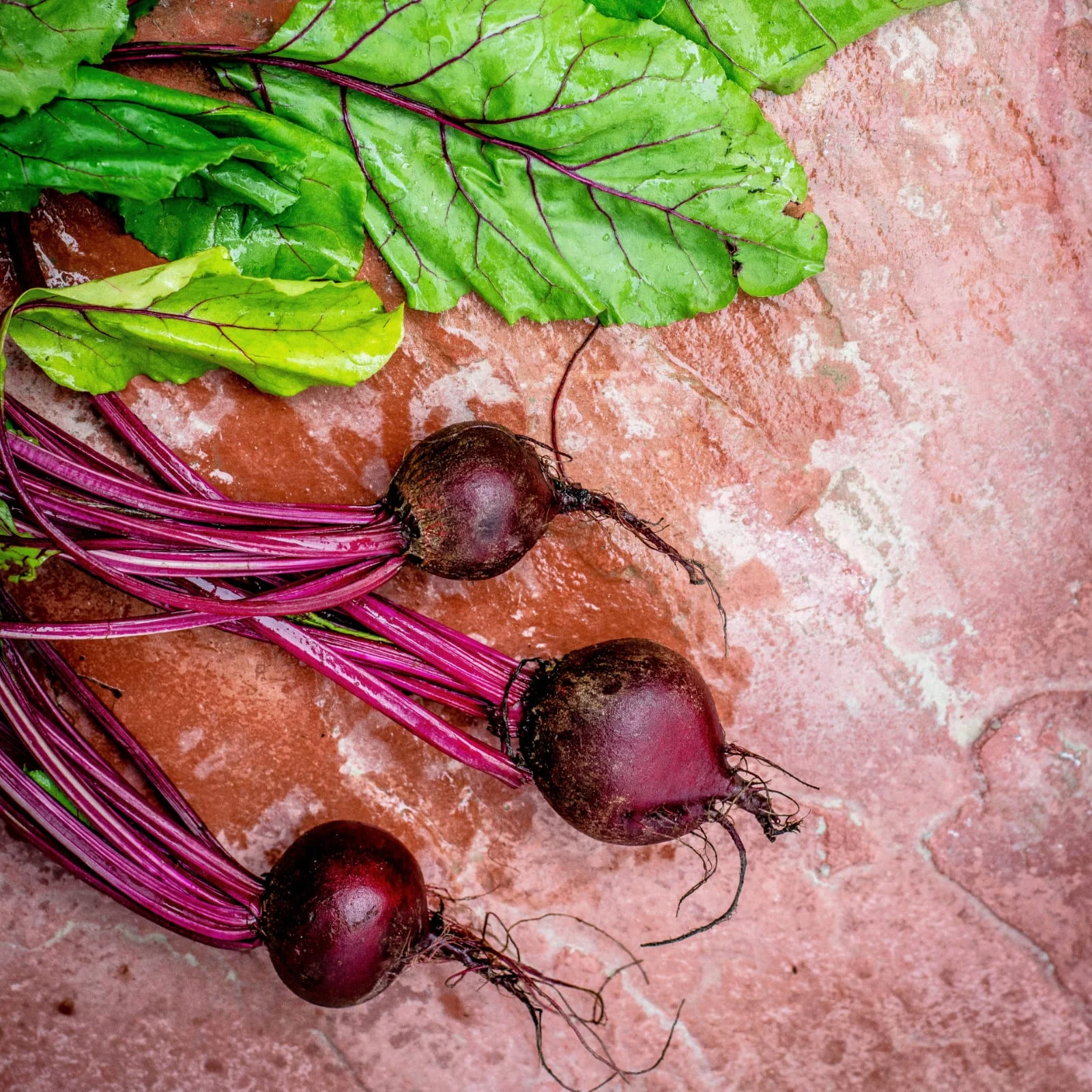 Rote Beete gemahlen (500g) - Image 5