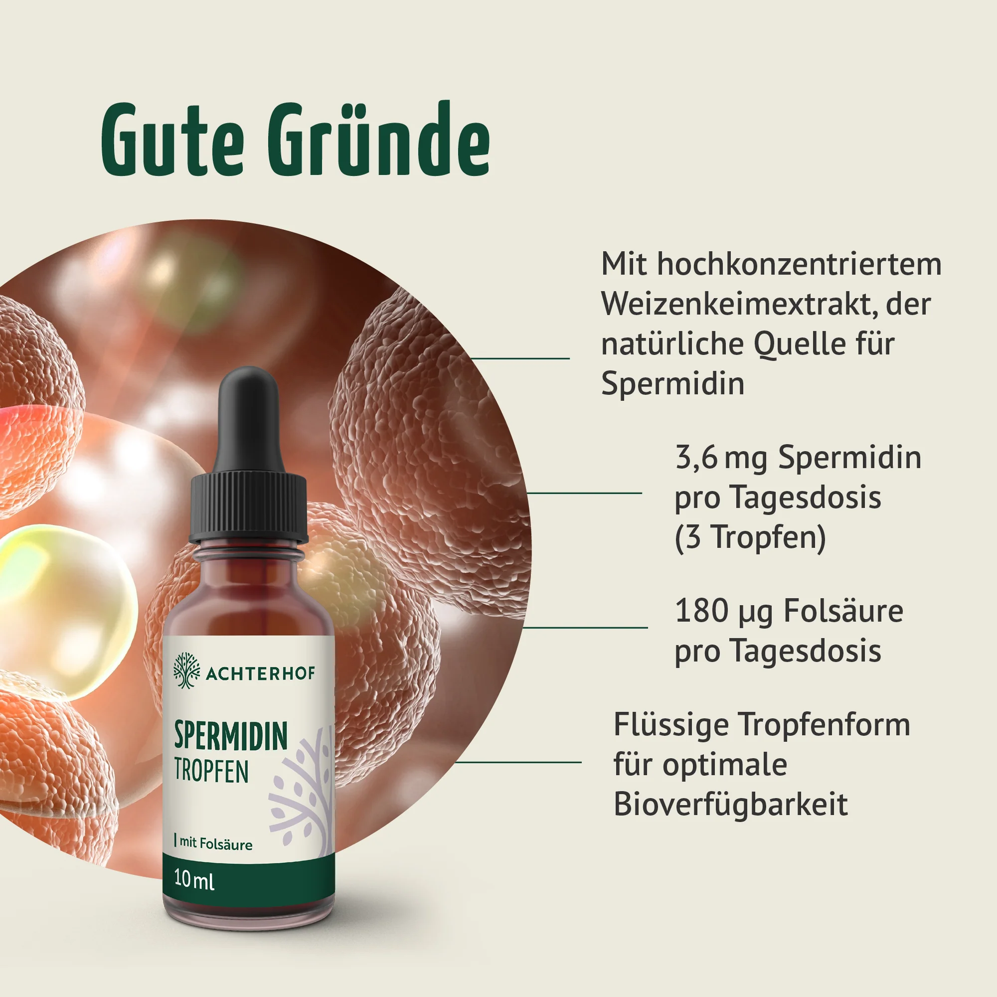Spermidin B9 Tropfen (10ml) - Image 2